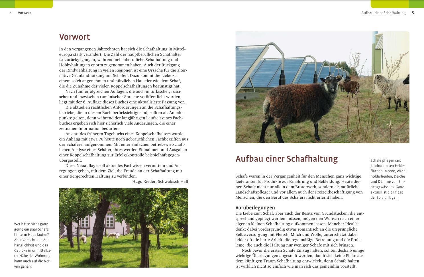 Schafe halten - Hugo Rieder (Literatur)
