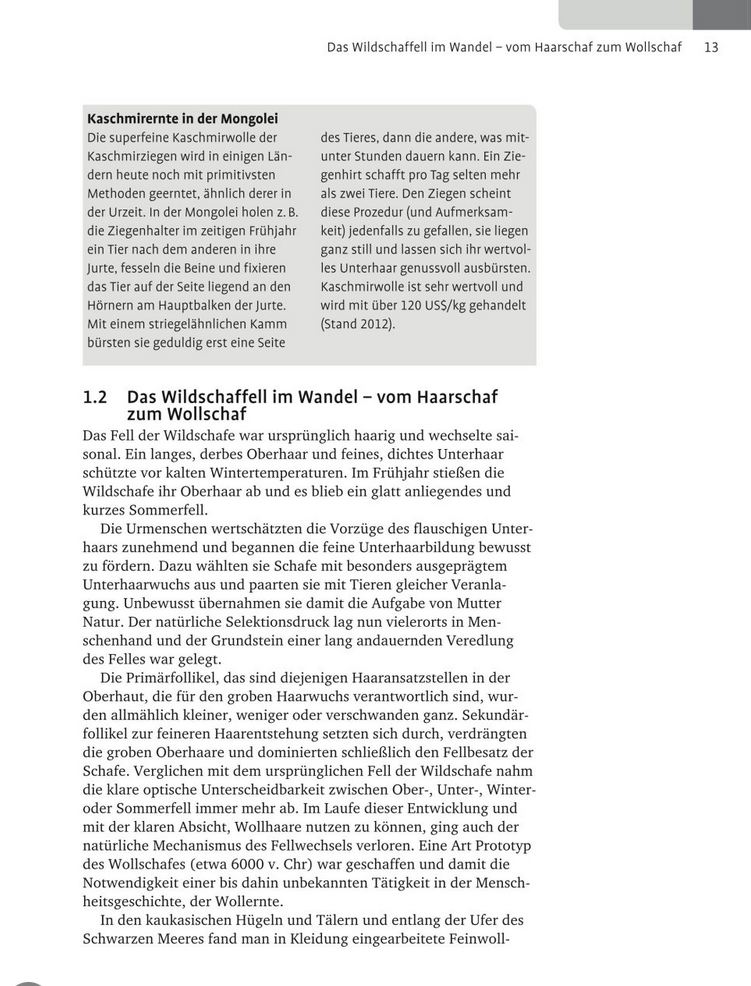 Schafe scheren. Schur-Techniken Schritt für Schritt - Stefanie Kauschus (Literatur)