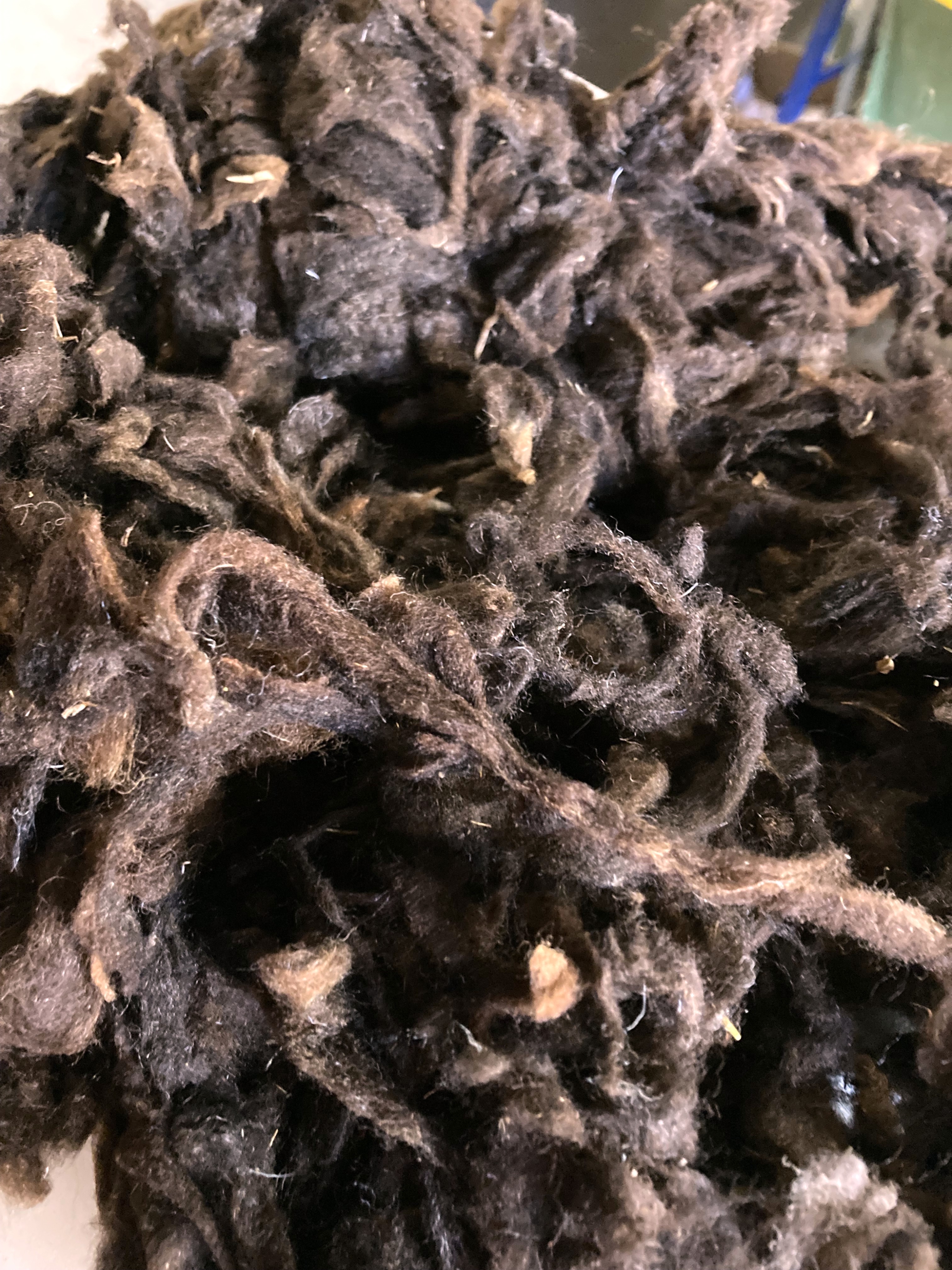 Sonderposten 12,24€/kg 1 kg Montevideowolle haselnussbraun UNGEKÄMMT! -20% MV01HB