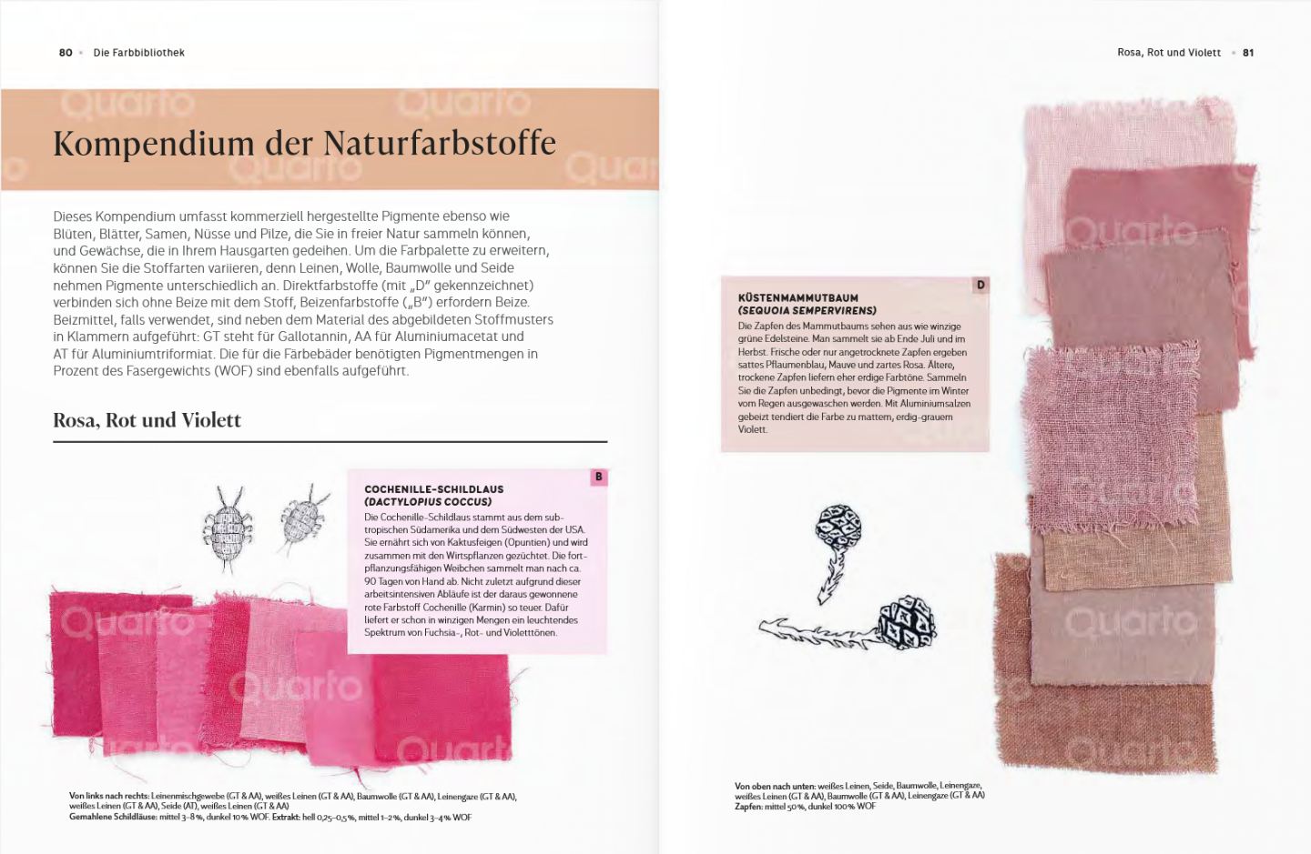 Das Handbuch der Pflanzenfarben - Iverson, Heidi (Literatur)