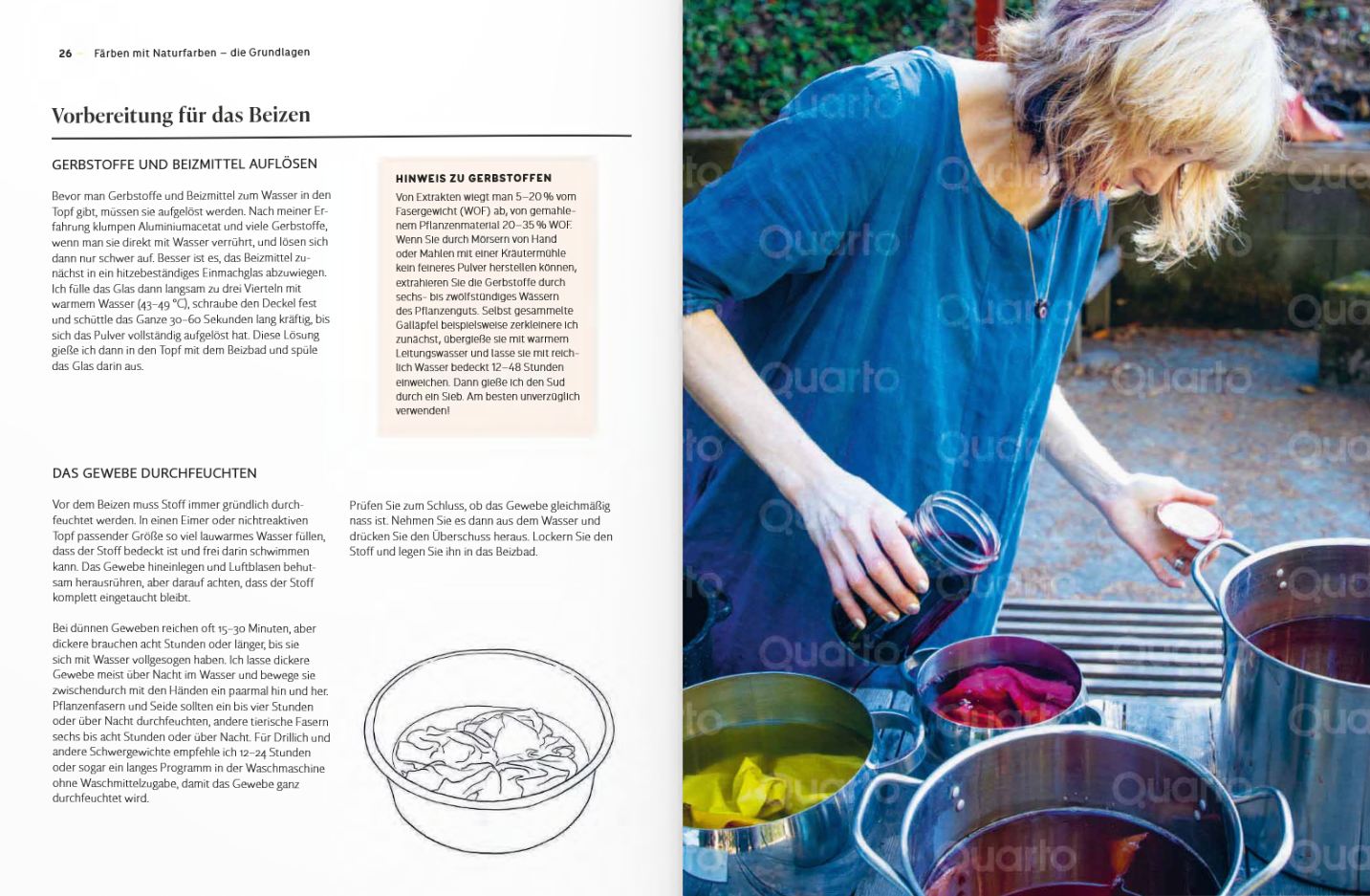 Das Handbuch der Pflanzenfarben - Iverson, Heidi (Literatur)