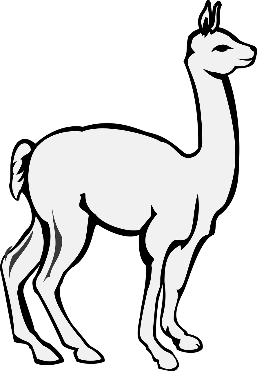 Alpaca