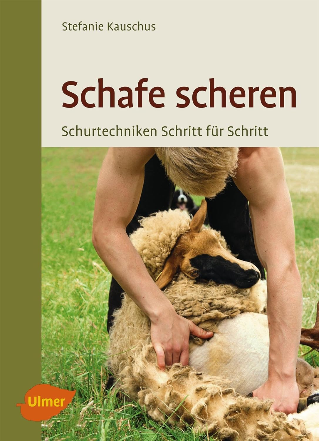 Schafe scheren. Schur-Techniken Schritt für Schritt - Stefanie Kauschus (Literatur)