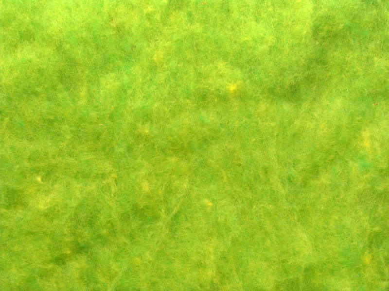 Merino-Melange - limette extra fein im Vlies