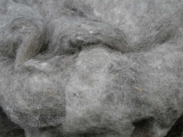 nicht mehr lieferbar - Norwegische Wolle - hellgrau mittelfein im Vlies