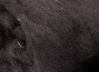 Steinschafwolle - kohlenschwarz mittelfein im Vlies Steinschafwolle - kohlenschwarz mittelfein im Vlies