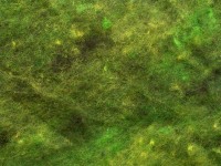 Merino-Melange - waldmoosgrün extra fein im Vlies Merino-Melange - waldmoosgrün extra fein im Vlies