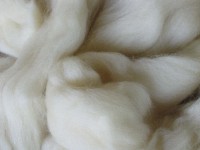 Süddeut. Merinwolle - naturweiß fein 28 mic im Band Süddeut. Merinwolle - naturweiß fein 28 mic im Band