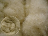 Wildseide / Merinowolle - naturweiß extra fein im Vlies Wildseide / Merinowolle - naturweiß extra fein im Vlies