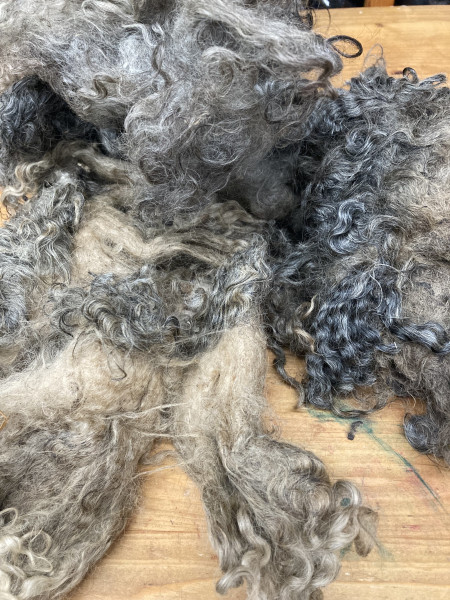 Sonderposten 14,82€/kg Toupetlocken grau mittelfein 2,5 kg mehrere Stücke -30% TL01G